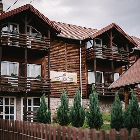 Silver Villa Беїле-Тушнад Екстер'єр фото