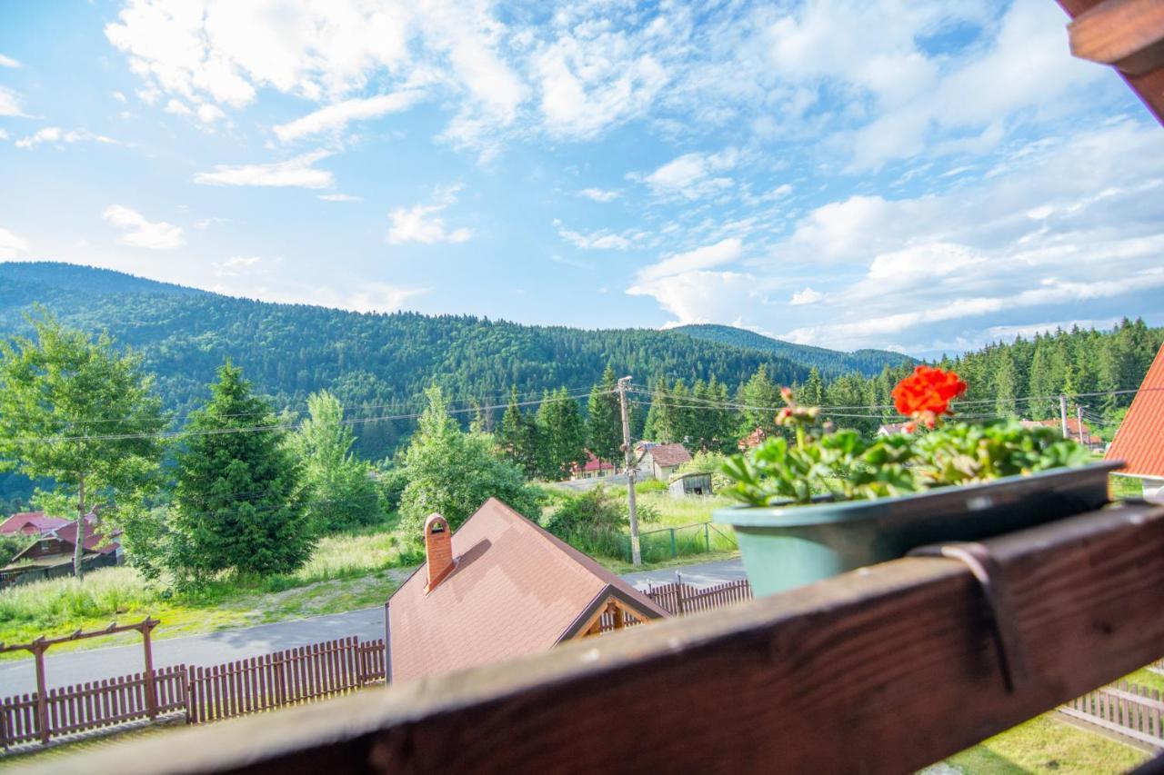 Silver Villa Беїле-Тушнад Екстер'єр фото