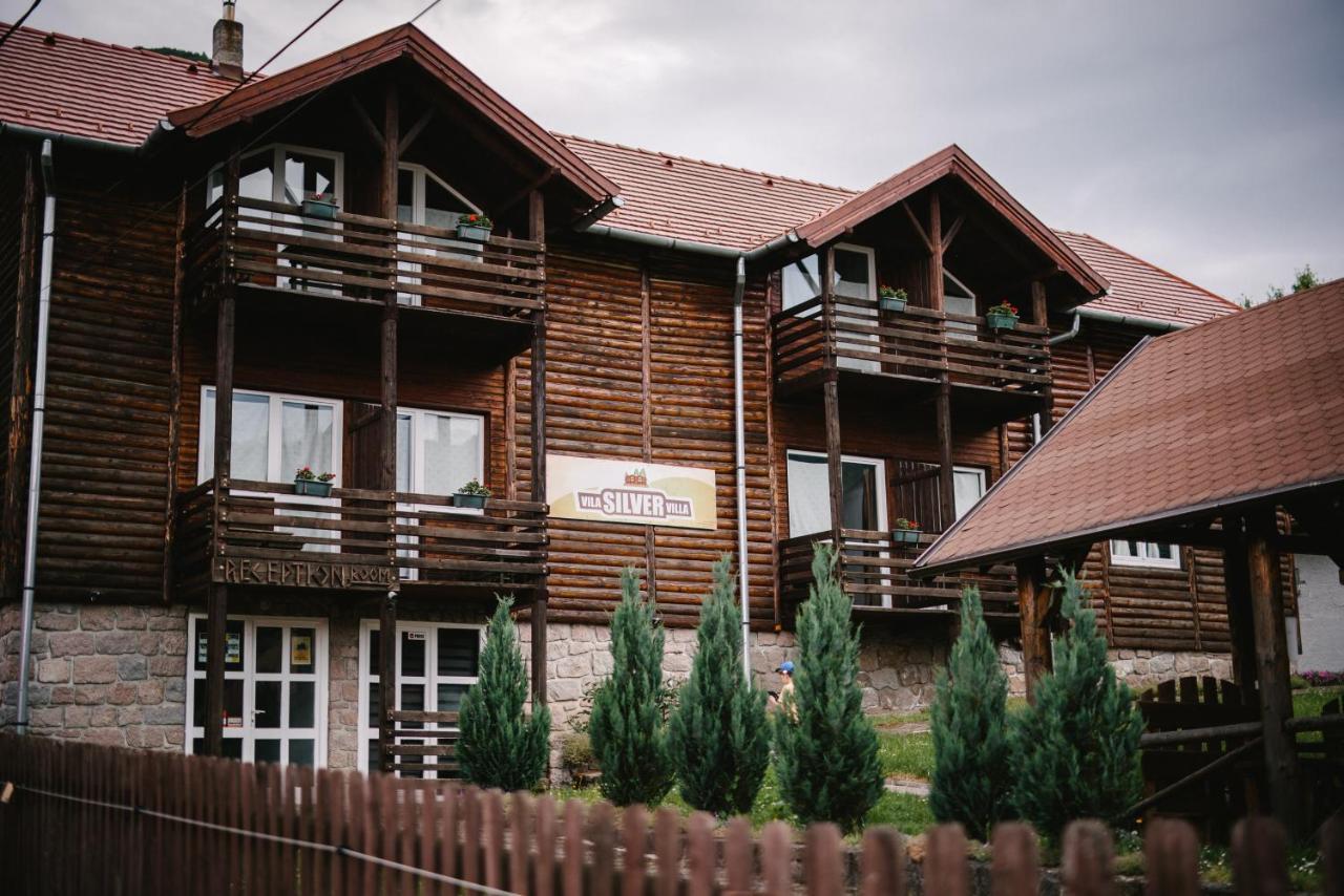 Silver Villa Беїле-Тушнад Екстер'єр фото