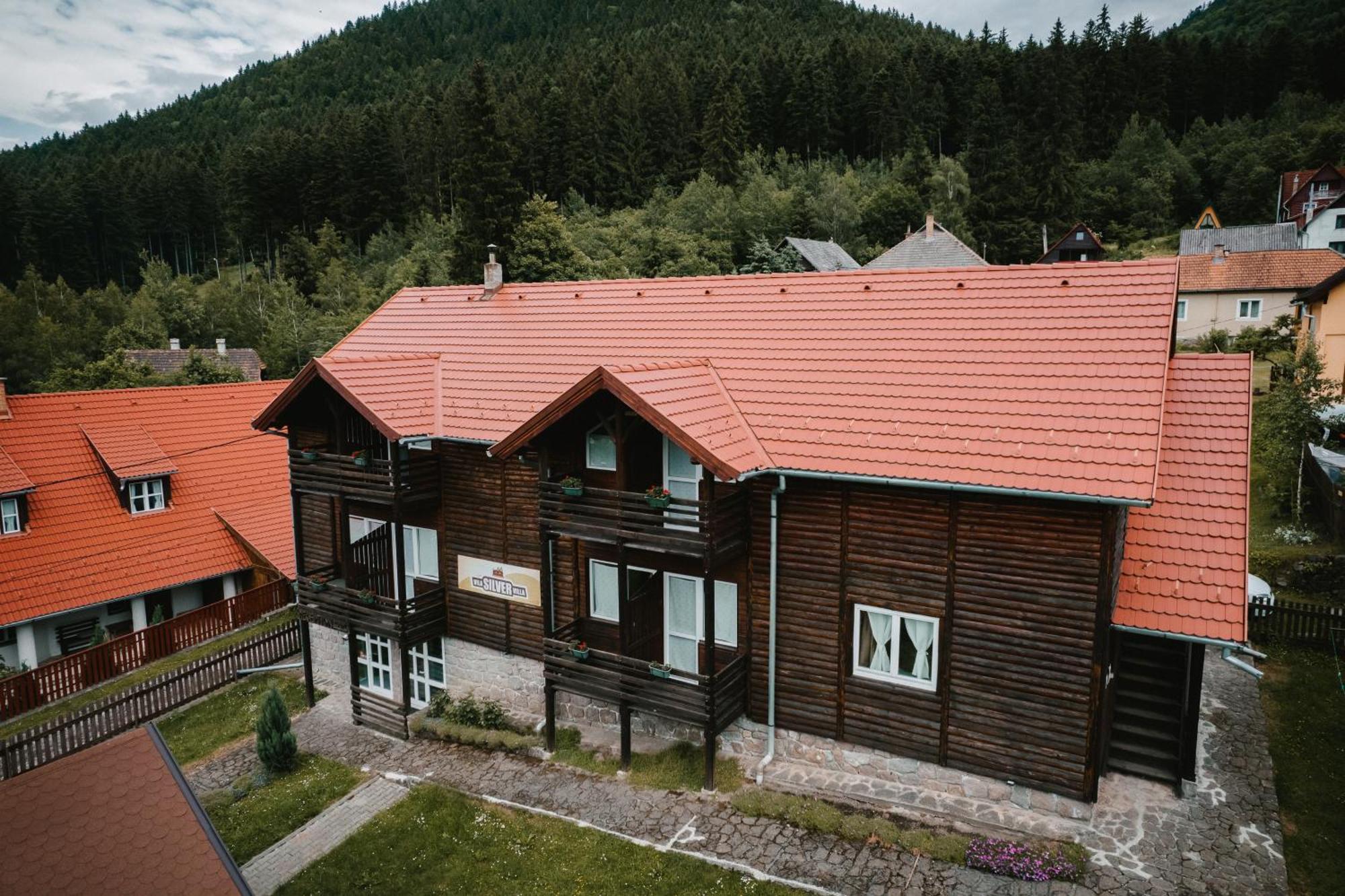 Silver Villa Беїле-Тушнад Екстер'єр фото
